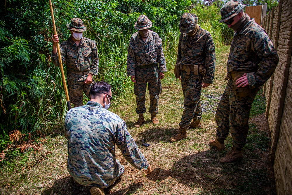 Scanning for IEDs