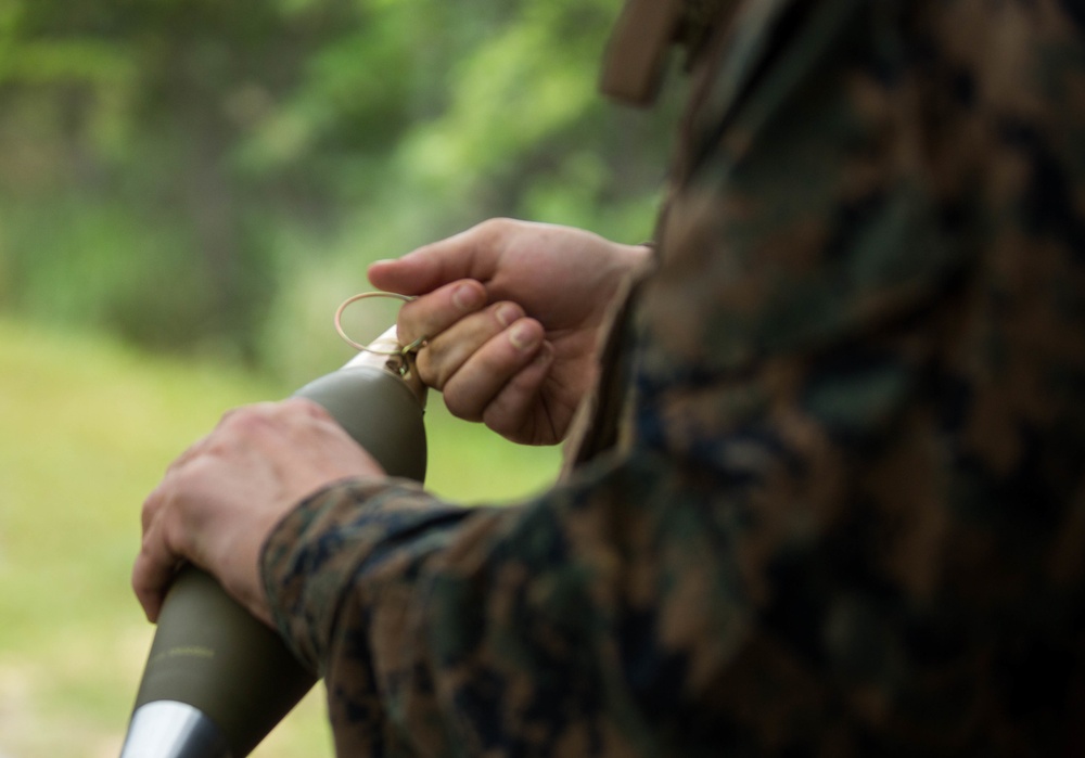 Live-fire Mortar Range