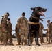 1-25 Military Working Dogs Medevac Training Exercise