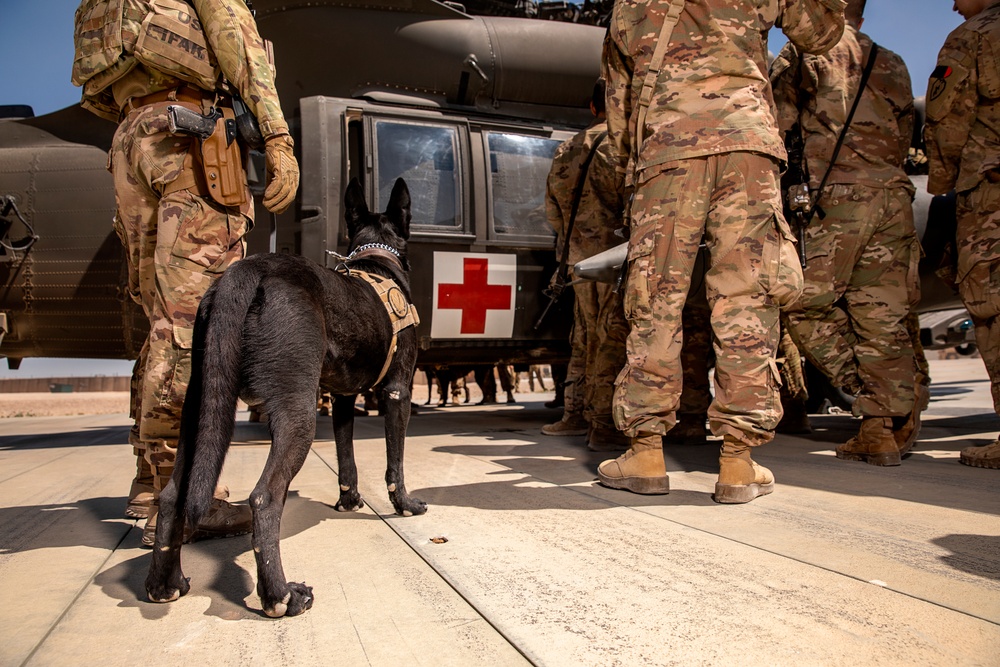 1-25 Military Working Dogs Medevac Training Exercise