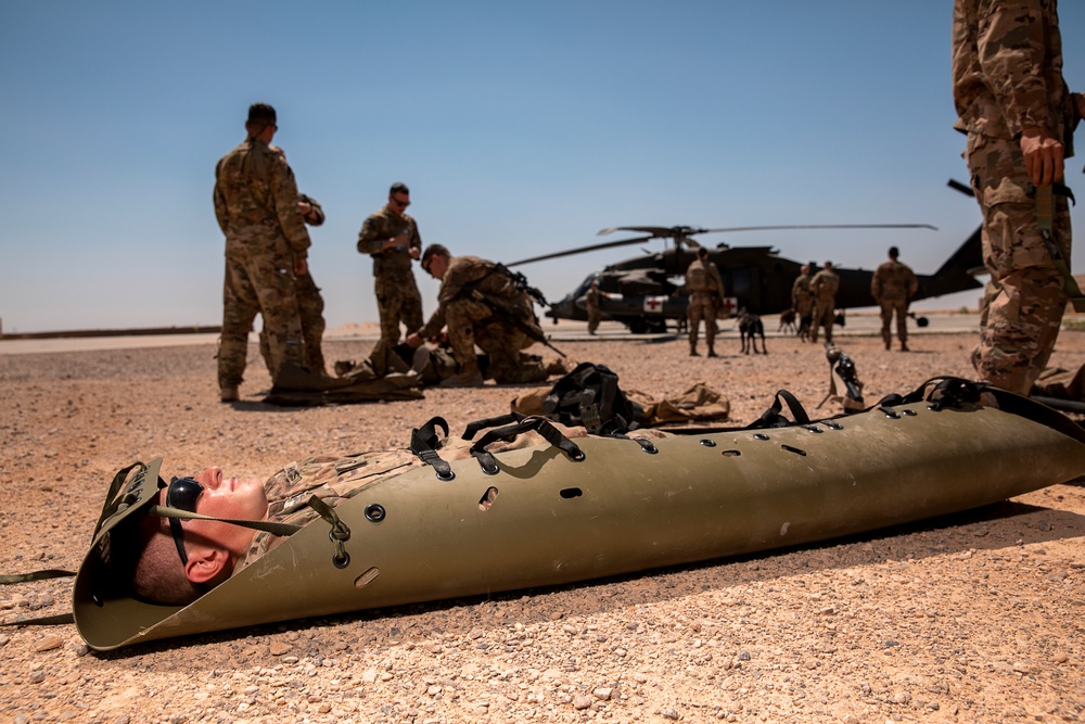 1-25 Military Working Dogs Medevac Training Exercise