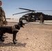 1-25 Military Working Dogs Medevac Training Exercise