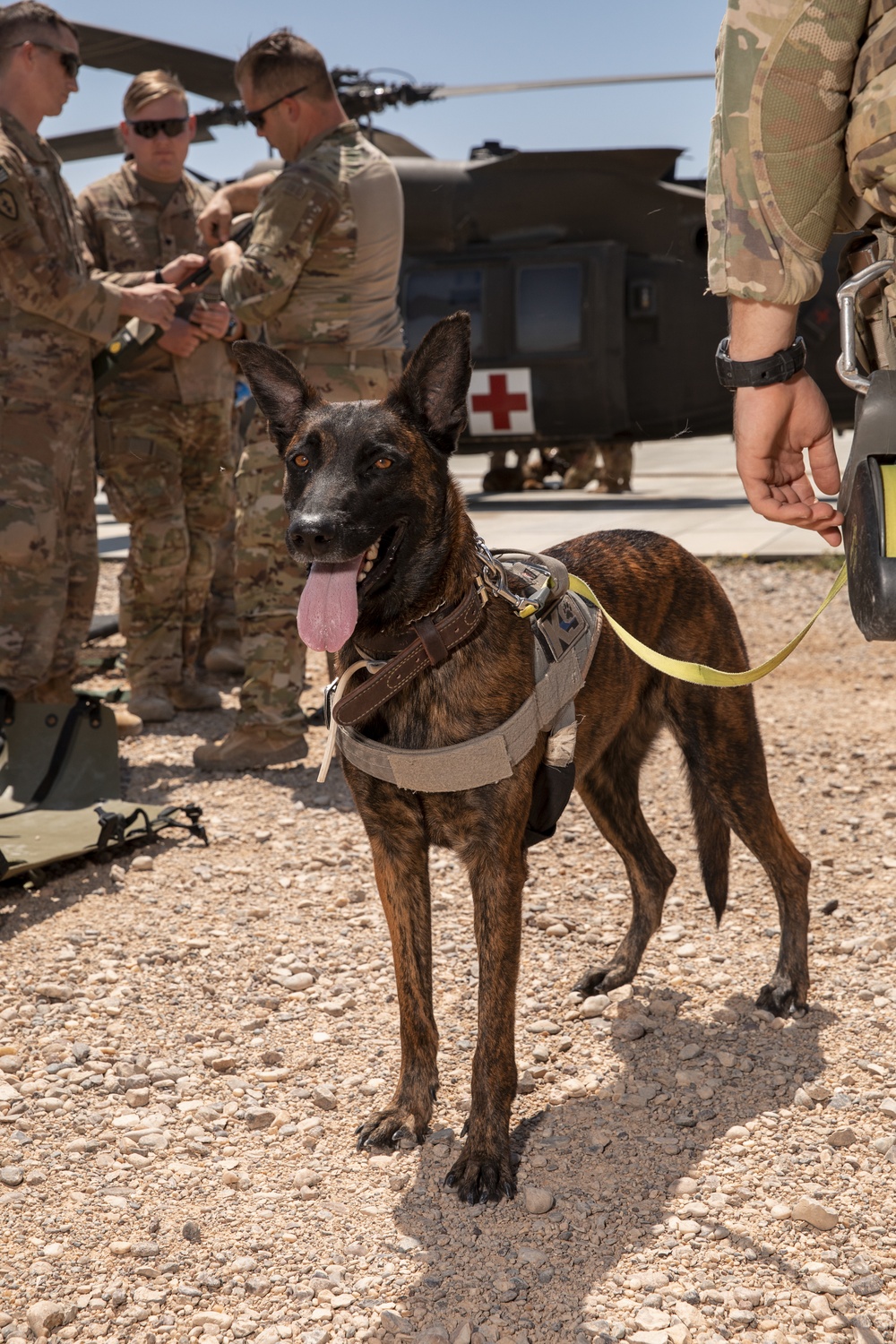 1-25 Military Working Dogs Medevac Training Exercise