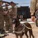 1-25 Military Working Dogs Medevac Training Exercise