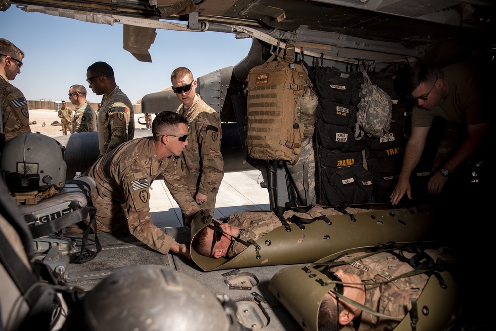 1-25 Military Working Dogs Medevac Training Exercise
