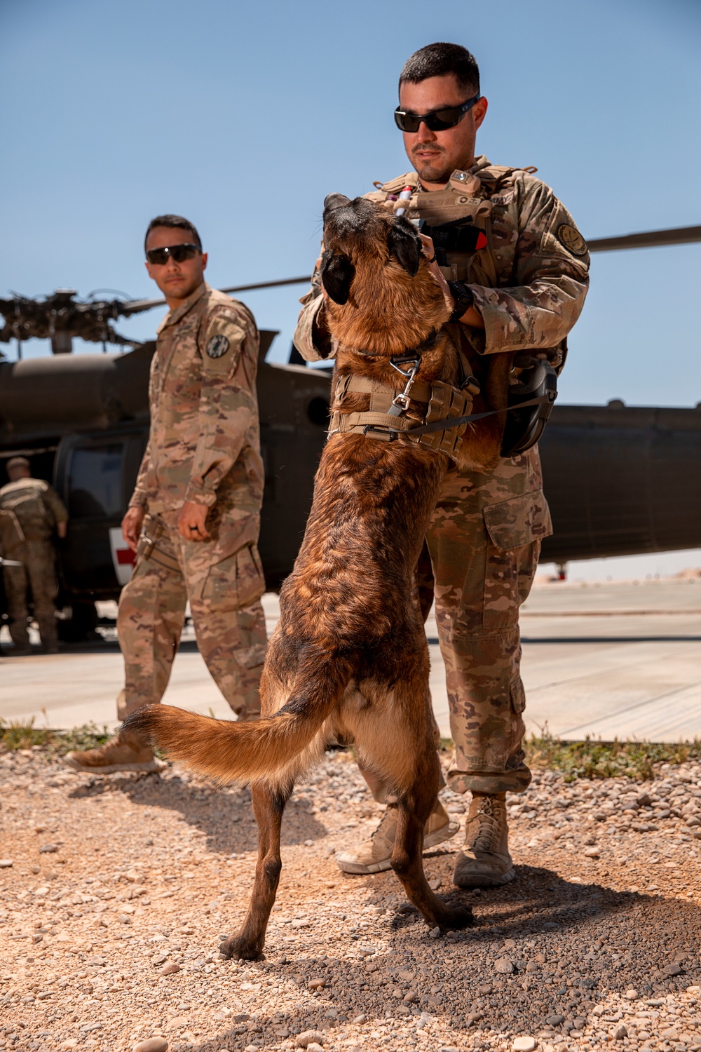 1-25 Military Working Dogs Medevac Training Exercise
