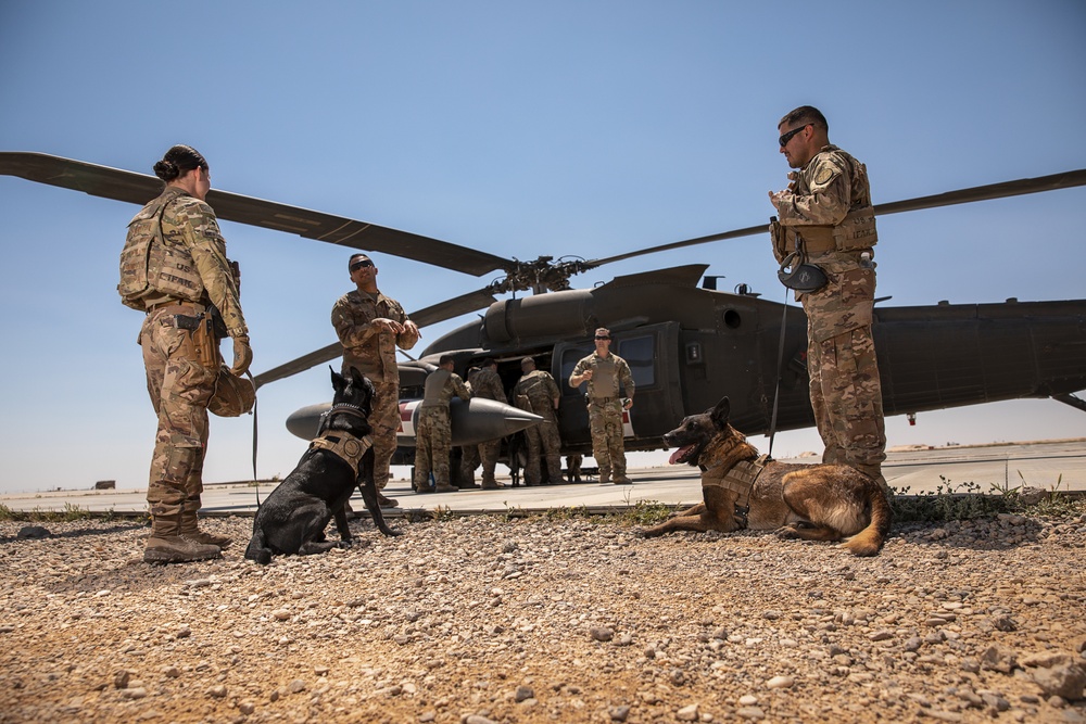 1-25 Military Working Dogs Medevac Training Exercise