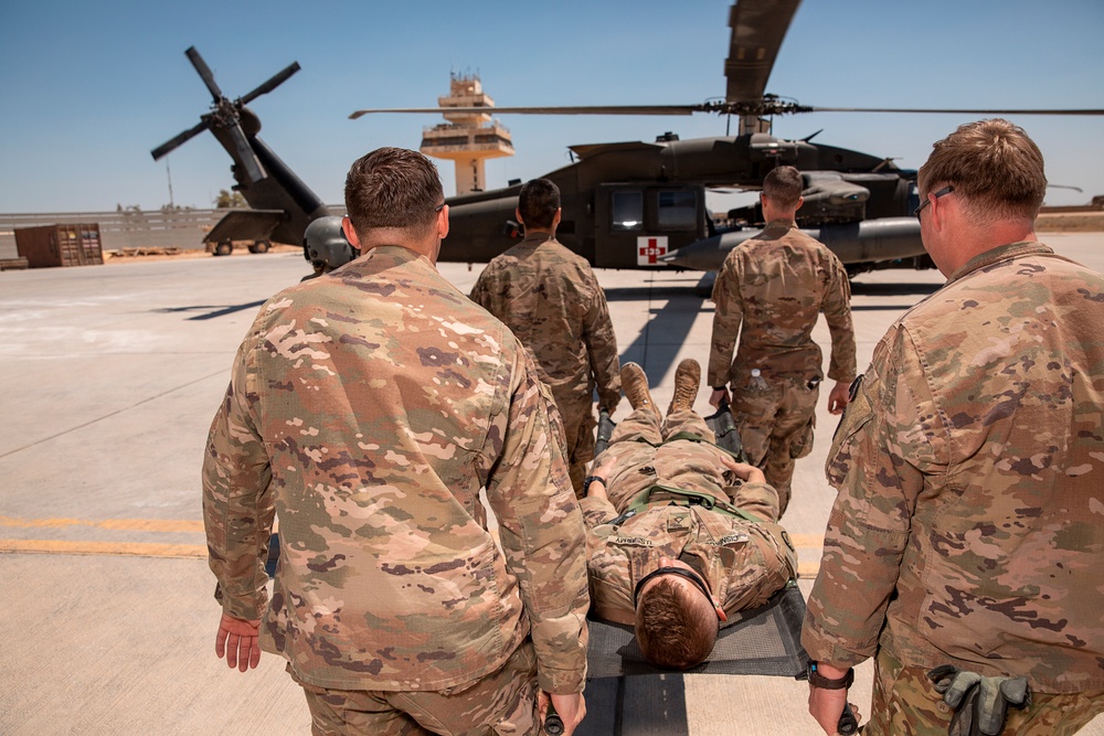 1-25 Military Working Dogs Medevac Training Exercise