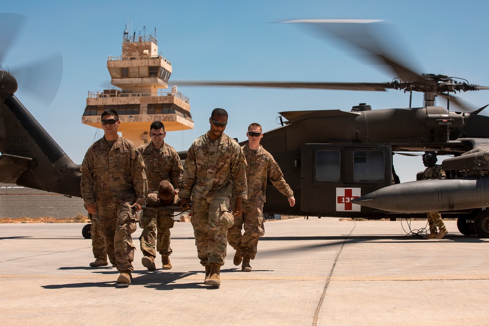 1-25 Military Working Dogs Medevac Training Exercise