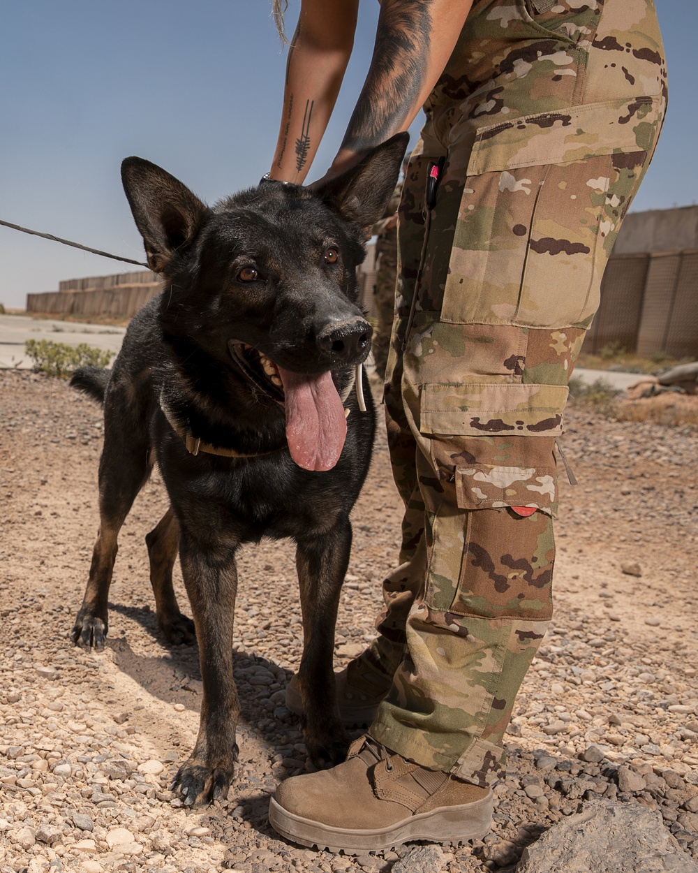 1-25 Military Working Dogs Medevac Training Exercise