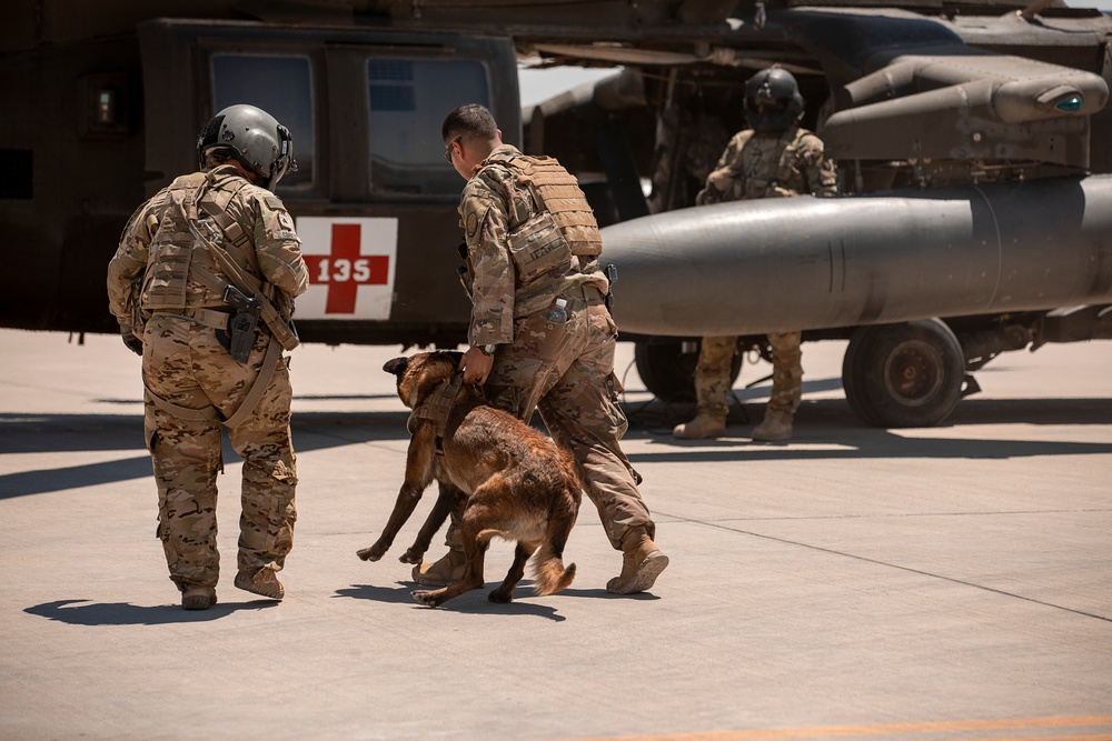 1-25 Military Working Dogs Medevac Training Exercise
