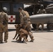 1-25 Military Working Dogs Medevac Training Exercise