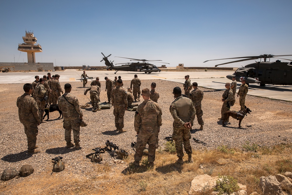 1-25 Military Working Dogs Medevac Training Exercise