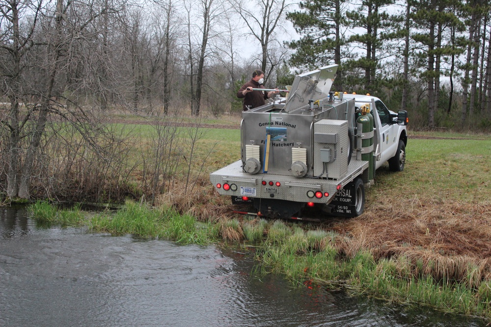 Thousands of rainbow trout stocked at Fort McCoy in time for 2020 fishing season