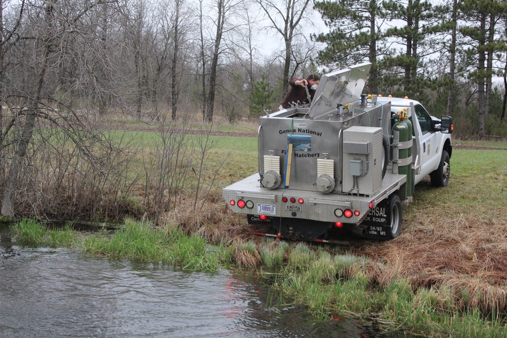 Thousands of rainbow trout stocked at Fort McCoy in time for 2020 fishing season