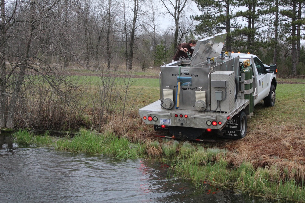 Thousands of rainbow trout stocked at Fort McCoy in time for 2020 fishing season