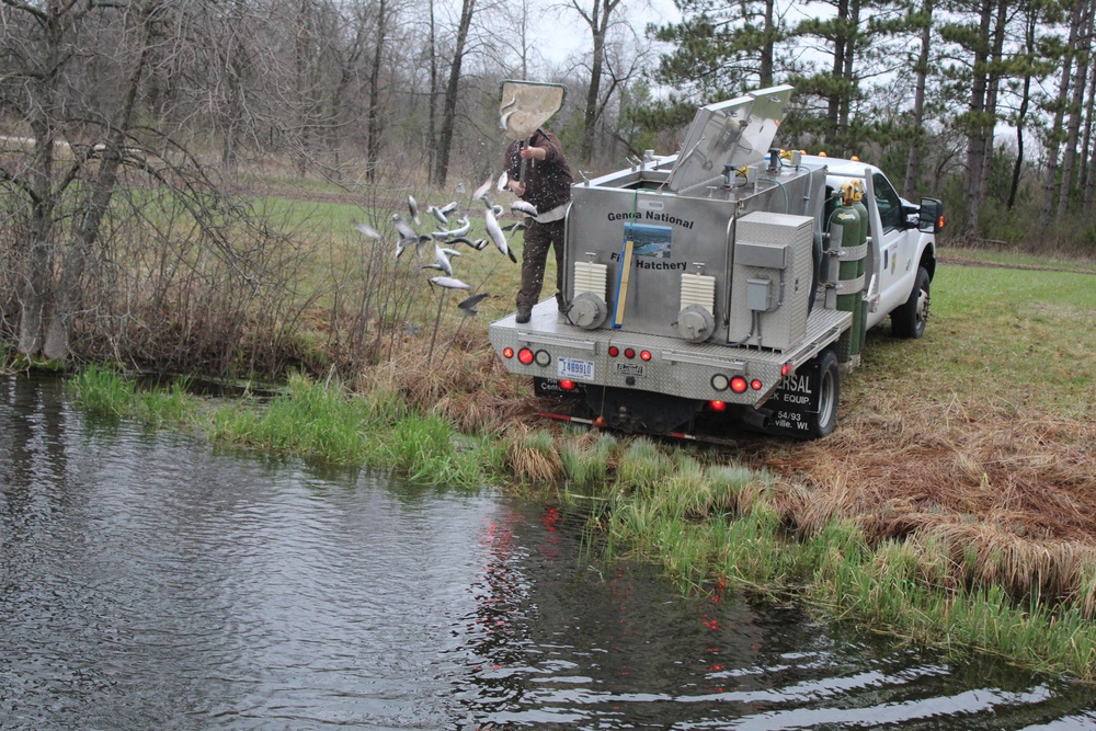 Thousands of rainbow trout stocked at Fort McCoy in time for 2020 fishing season