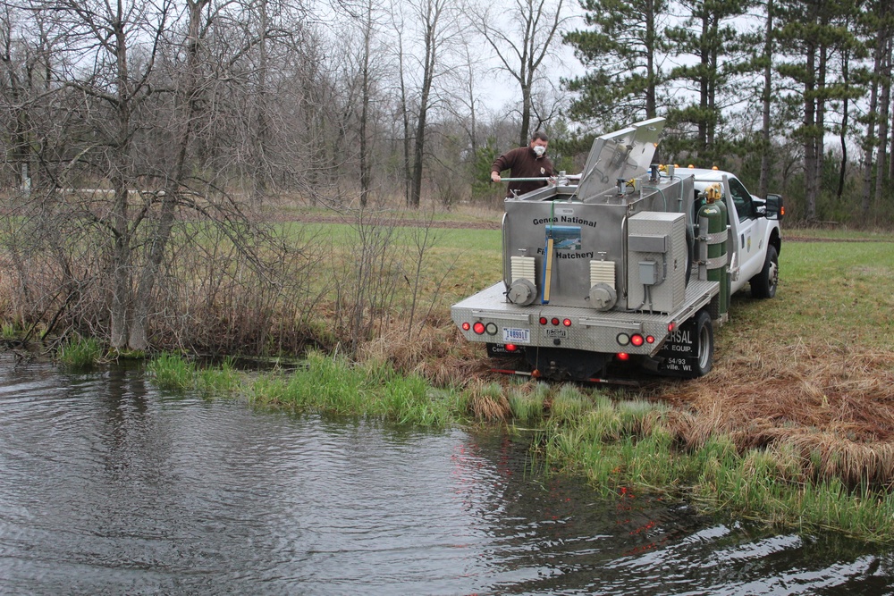 Thousands of rainbow trout stocked at Fort McCoy in time for 2020 fishing season