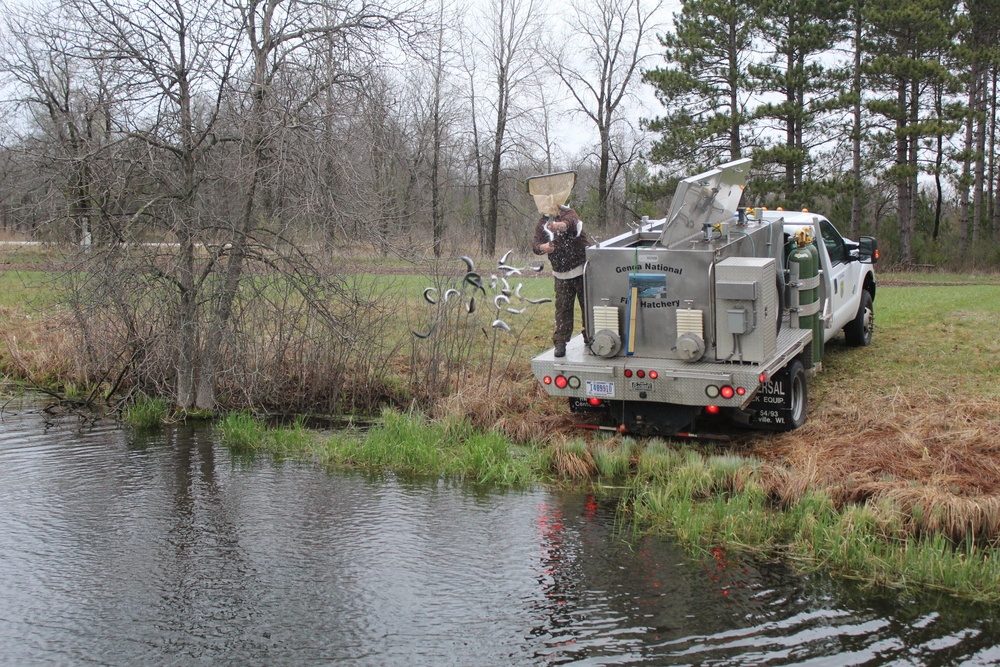 Thousands of rainbow trout stocked at Fort McCoy in time for 2020 fishing season