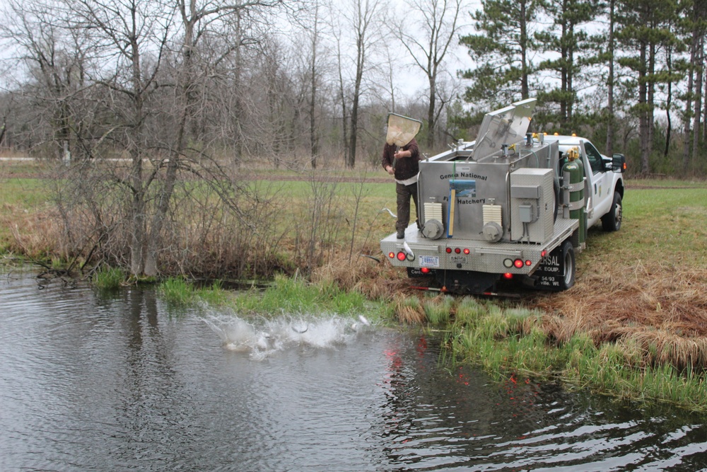 Thousands of rainbow trout stocked at Fort McCoy in time for 2020 fishing season