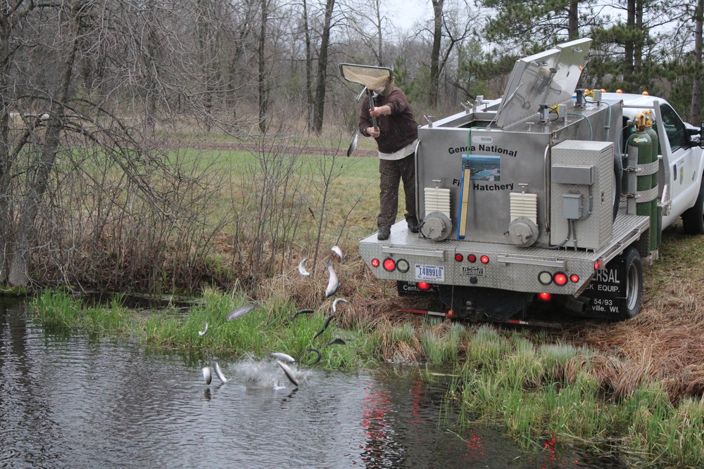 Thousands of rainbow trout stocked at Fort McCoy in time for 2020 fishing season