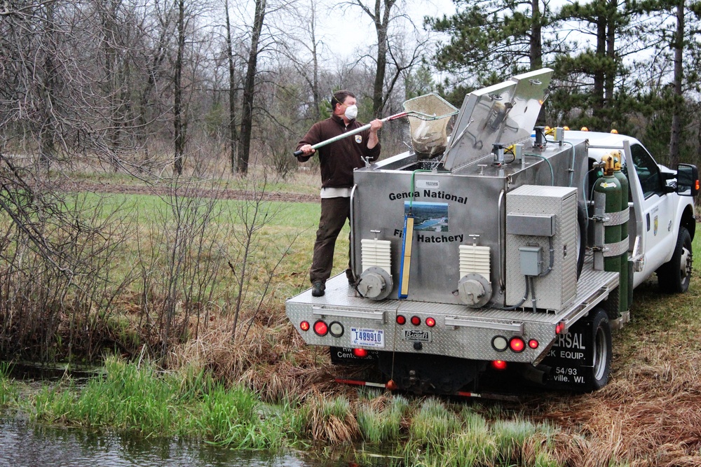 Thousands of rainbow trout stocked at Fort McCoy in time for 2020 fishing season