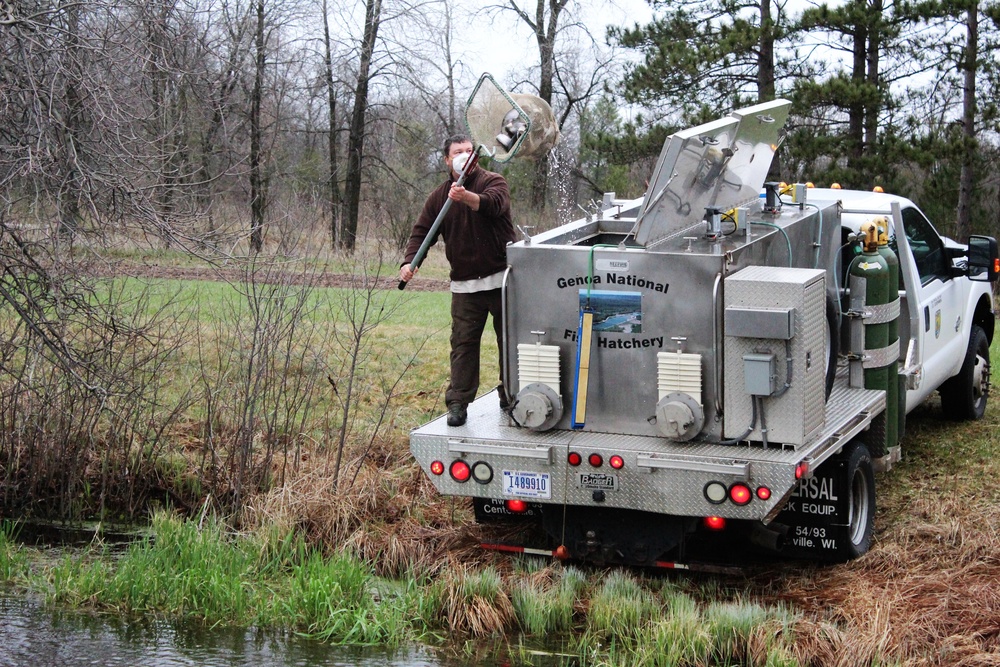 Thousands of rainbow trout stocked at Fort McCoy in time for 2020 fishing season