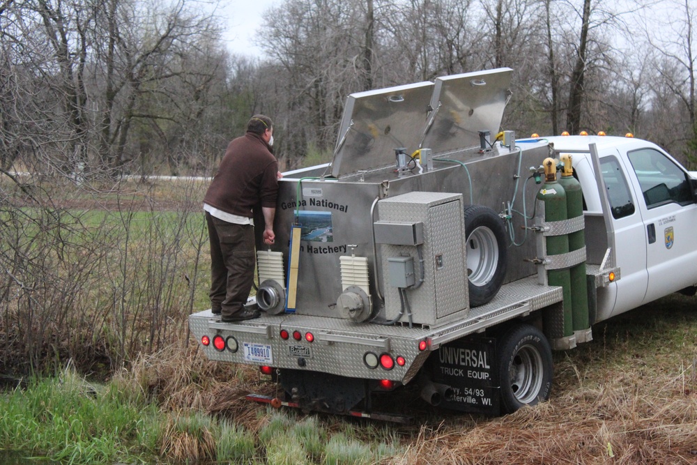 Thousands of rainbow trout stocked at Fort McCoy in time for 2020 fishing season