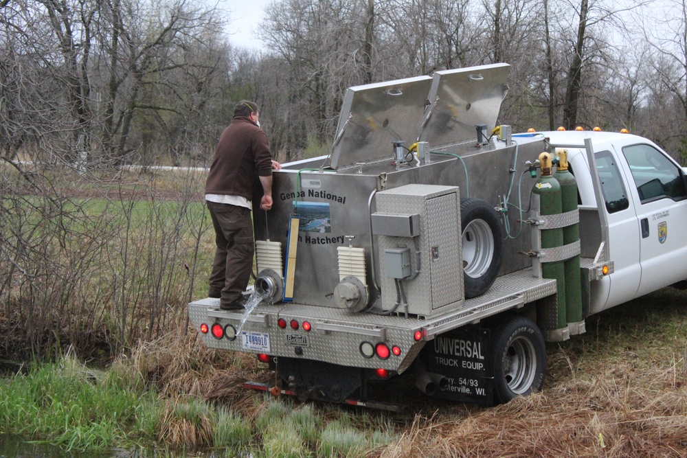 Thousands of rainbow trout stocked at Fort McCoy in time for 2020 fishing season