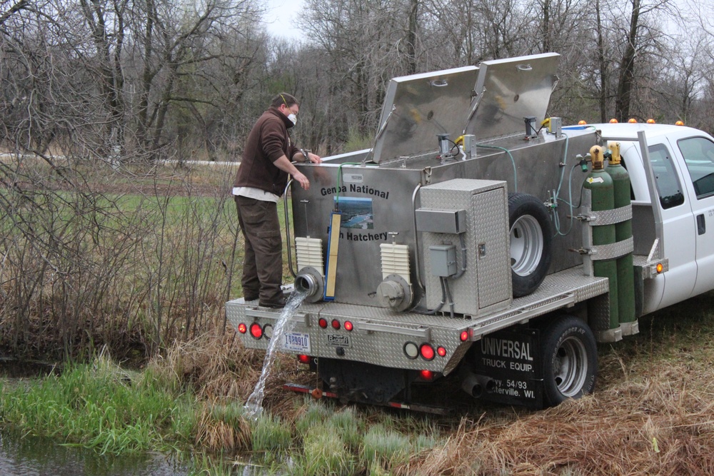 Thousands of rainbow trout stocked at Fort McCoy in time for 2020 fishing season