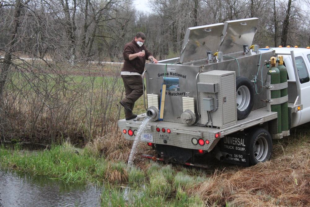 Thousands of rainbow trout stocked at Fort McCoy in time for 2020 fishing season