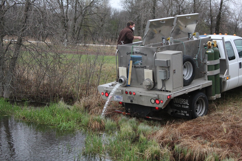 Thousands of rainbow trout stocked at Fort McCoy in time for 2020 fishing season