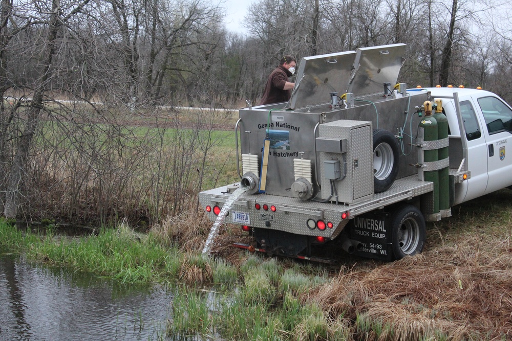 Thousands of rainbow trout stocked at Fort McCoy in time for 2020 fishing season