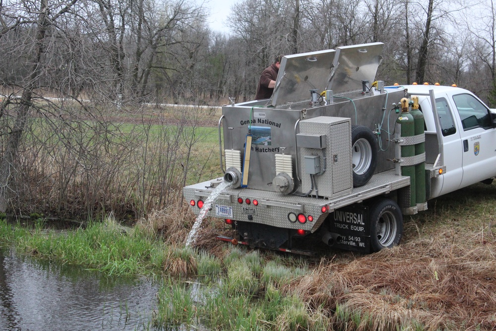 Thousands of rainbow trout stocked at Fort McCoy in time for 2020 fishing season