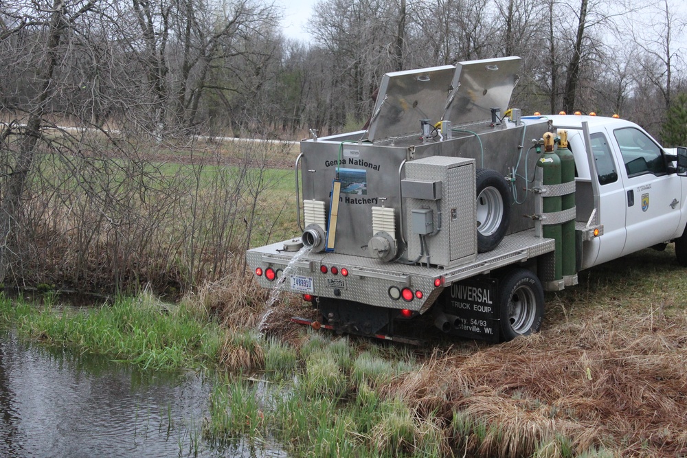 Thousands of rainbow trout stocked at Fort McCoy in time for 2020 fishing season