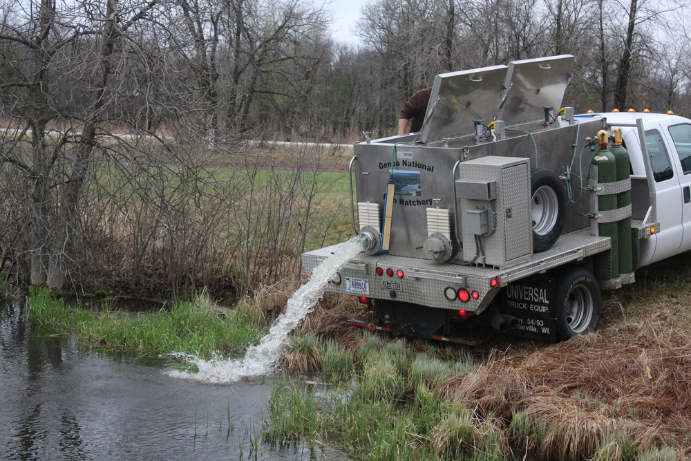 Thousands of rainbow trout stocked at Fort McCoy in time for 2020 fishing season