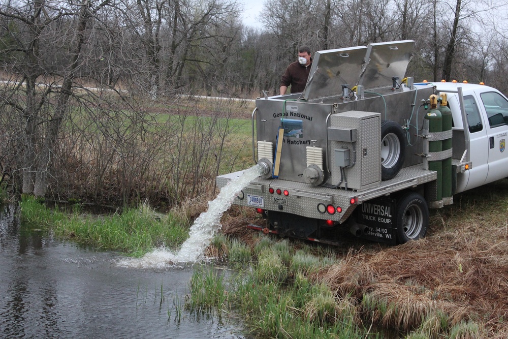 Thousands of rainbow trout stocked at Fort McCoy in time for 2020 fishing season