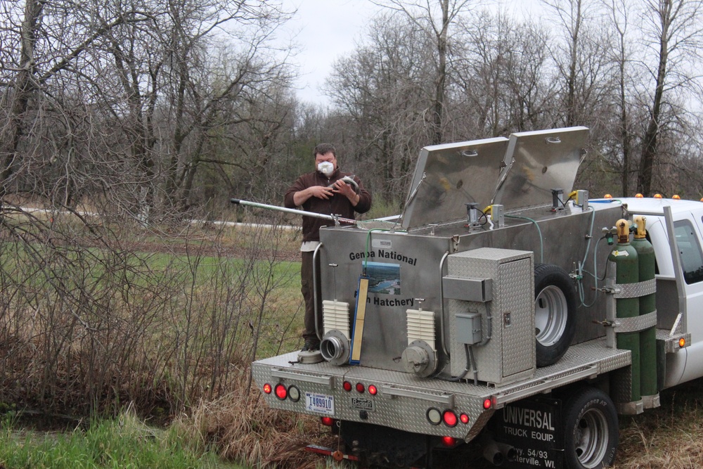 Thousands of rainbow trout stocked at Fort McCoy in time for 2020 fishing season