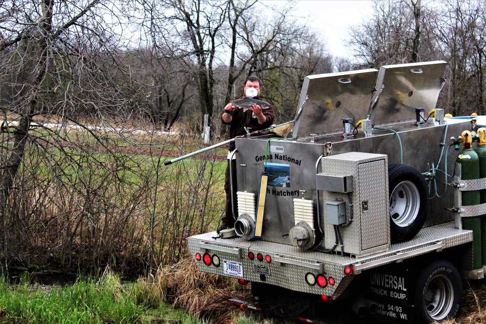 Thousands of rainbow trout stocked at Fort McCoy in time for 2020 fishing season