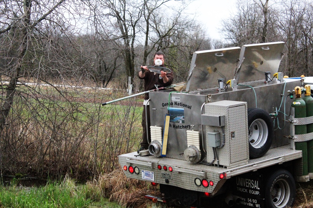 Thousands of rainbow trout stocked at Fort McCoy in time for 2020 fishing season