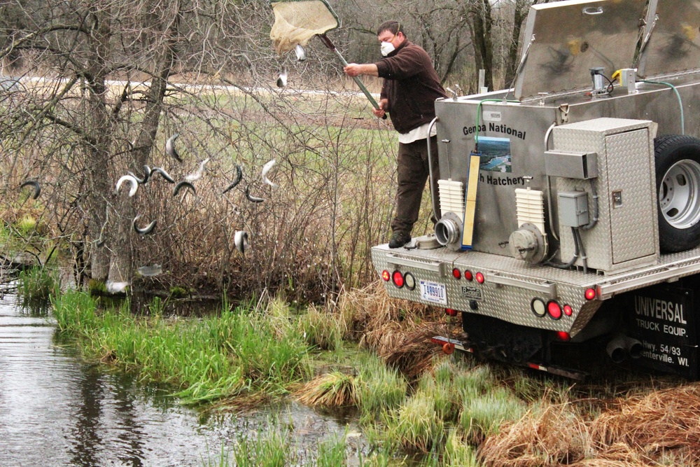 Thousands of rainbow trout stocked at Fort McCoy in time for 2020 fishing season