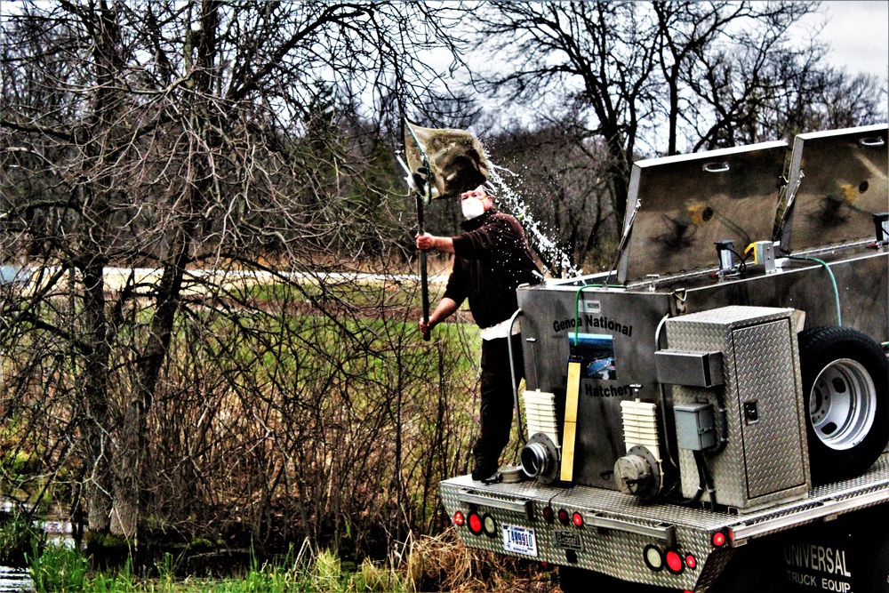 Thousands of rainbow trout stocked at Fort McCoy in time for 2020 fishing season