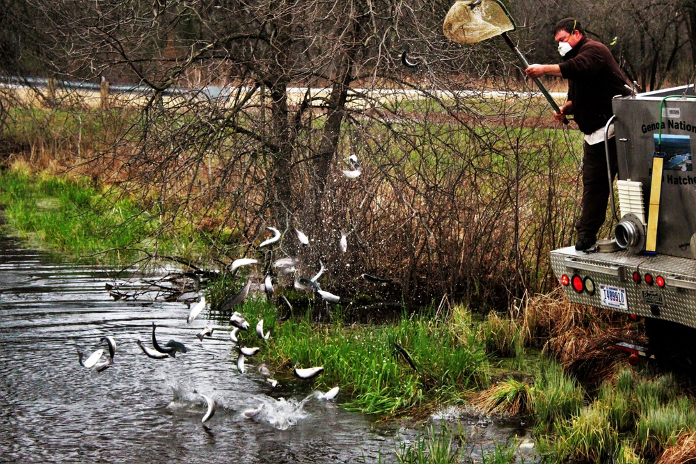 Thousands of rainbow trout stocked at Fort McCoy in time for 2020 fishing season