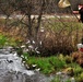 Thousands of rainbow trout stocked at Fort McCoy in time for 2020 fishing season