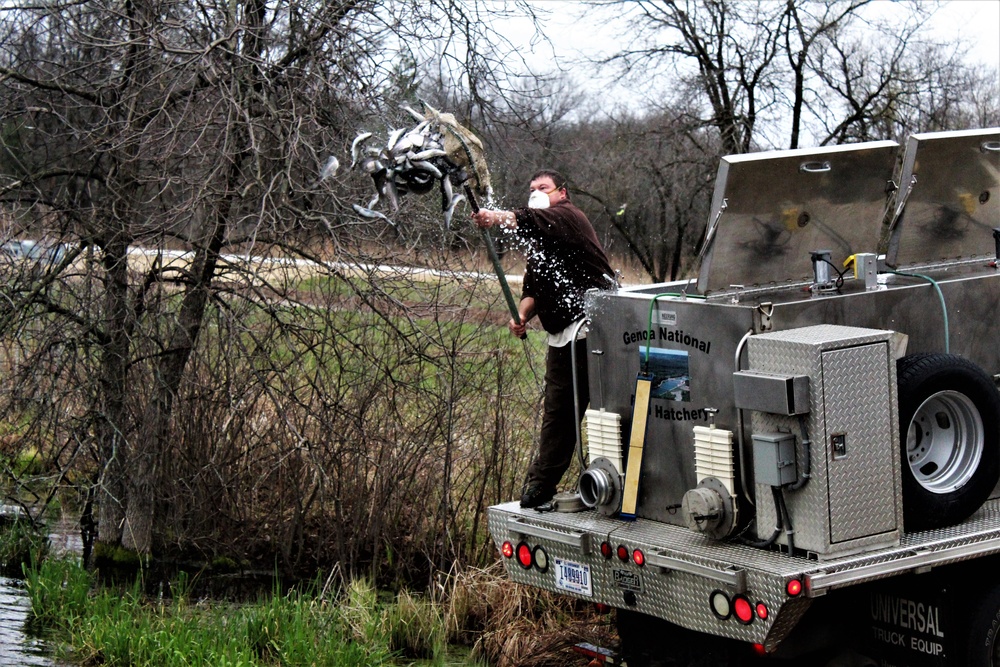 Thousands of rainbow trout stocked at Fort McCoy in time for 2020 fishing season