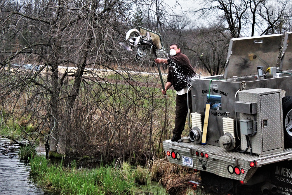 Thousands of rainbow trout stocked at Fort McCoy in time for 2020 fishing season