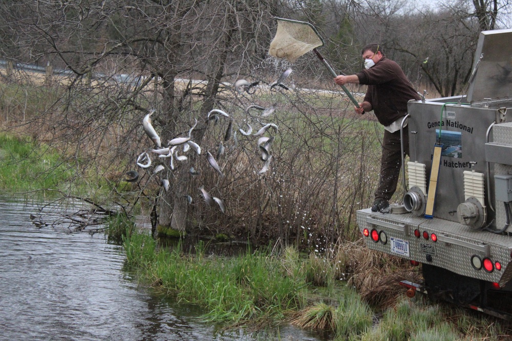 Thousands of rainbow trout stocked at Fort McCoy in time for 2020 fishing season