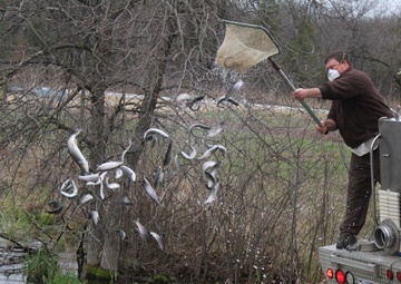 Photo Essay: Thousands of rainbow trout stocked at Fort McCoy