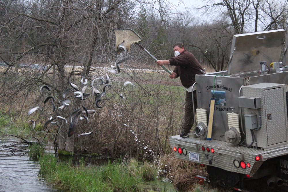 Thousands of rainbow trout stocked at Fort McCoy in time for 2020 fishing season