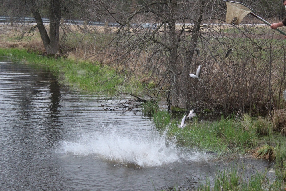 Rainbow trout stocked at Fort McCoy waterways for 2020 fishing season